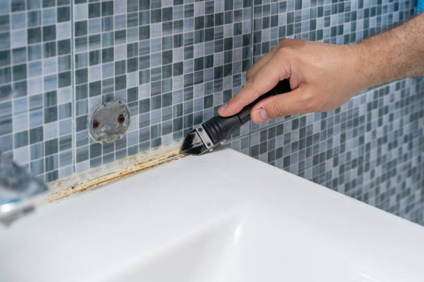 Colorado City, TX Mold Removal Company