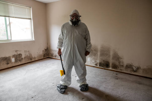 Best Mold Damage Repair  in Colorado City, TX